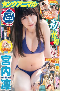 大追捕 粤语